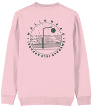Load image into Gallery viewer, Pink Sweatshirt